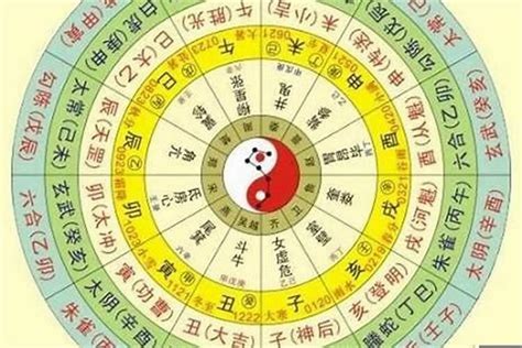 五行查询生辰八字查询 招財犬